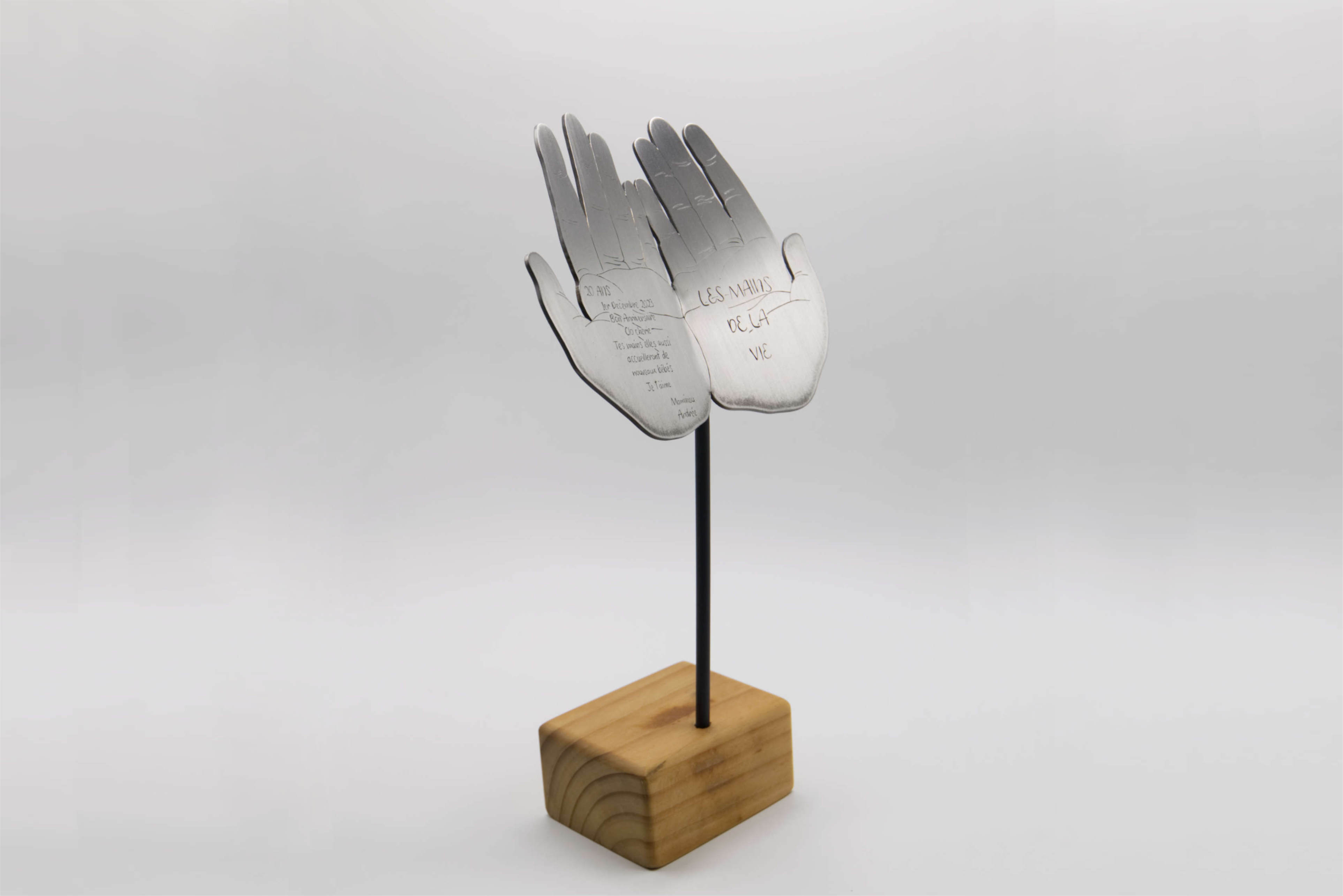 Sculpture sur mesure : Les mains de la vie, vue d'ensemble